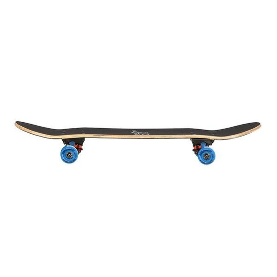 DESKOROLKA NILS EXTREME CR3108SA MONKEY 