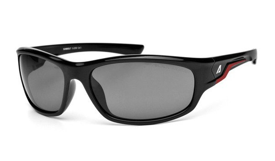 Okulary przeciwsłoneczne  Arctica S-223A